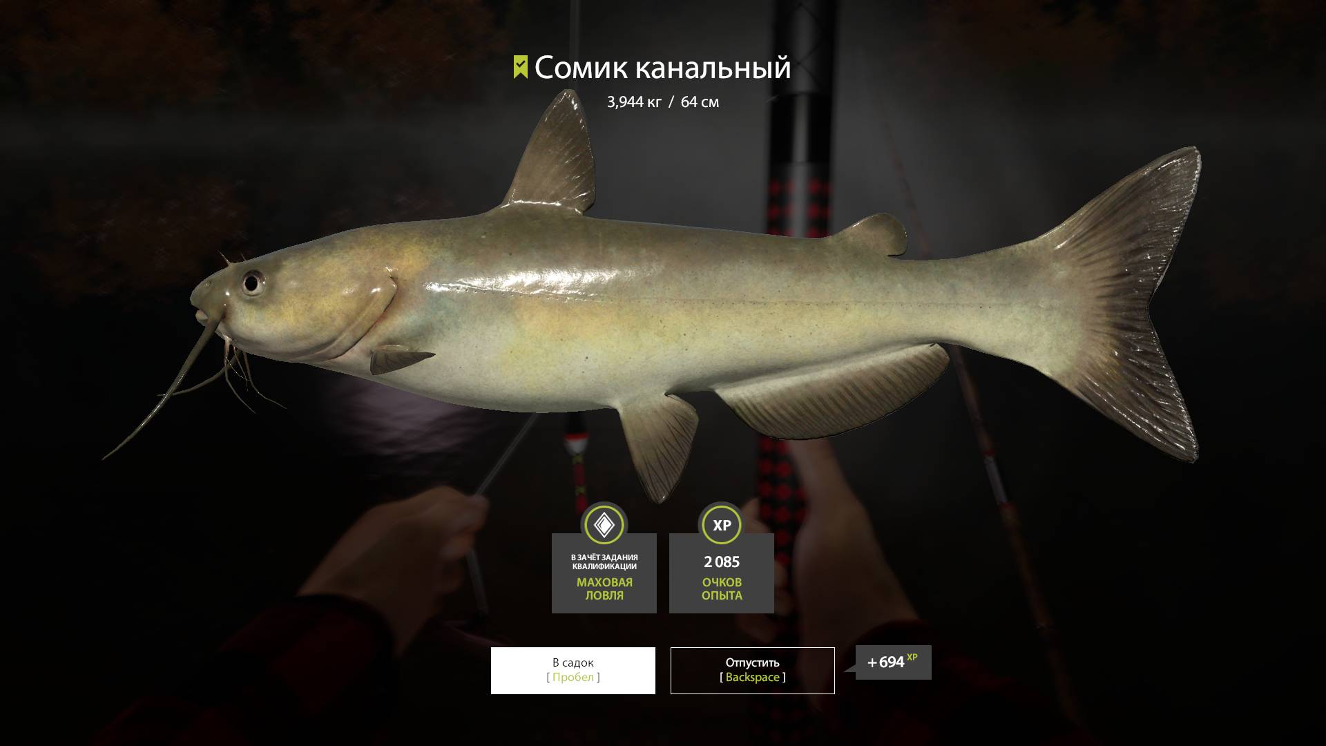 Русская рыбалка 4 ох. Лосиное