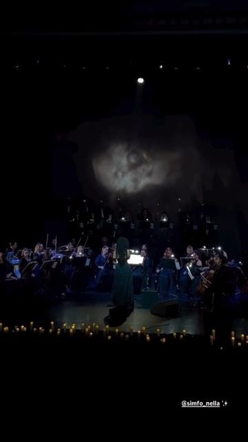 NELLA MUSICA ORCHESTRA
«Гарри Поттер и Симфомультимедия»