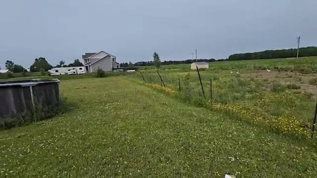 Сельчанка в Америке. РЕШИЛА ИЗБАВИТЬСЯ ОТ КУР !!!