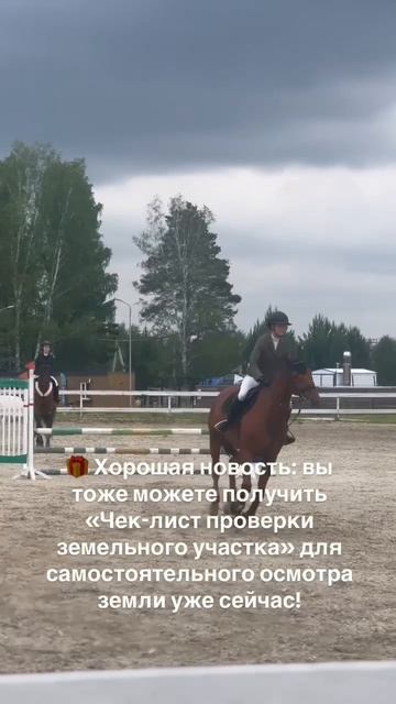 Как проходит выездная практика в команде "Дела земельные"