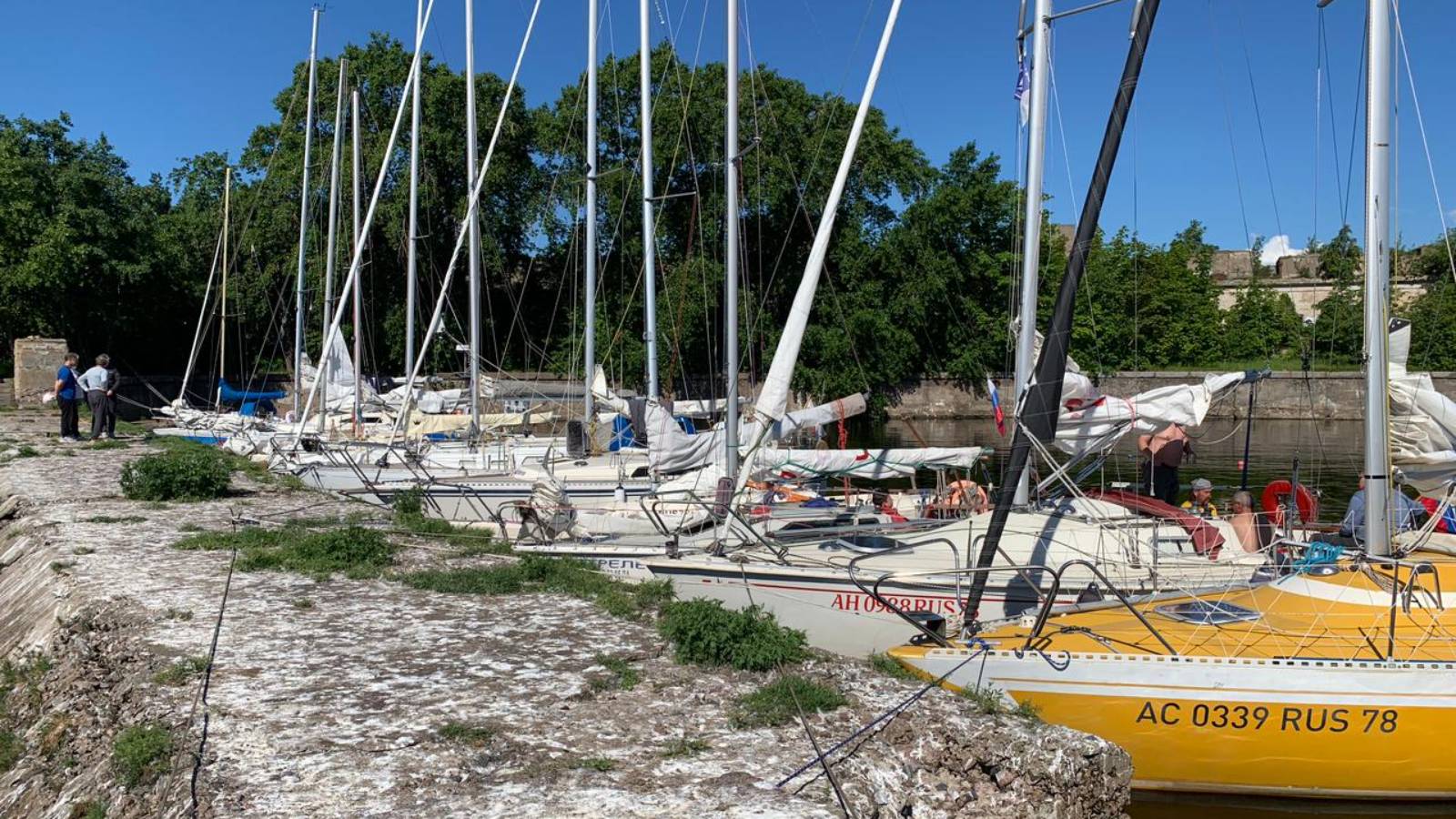 Гонки на приз я/к Невка (2024). Часть 2