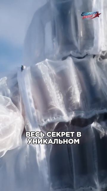 Зимняя куртка ИЗ ВОЗДУХА? Как это возможно?! #shorts
