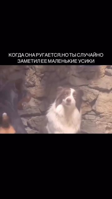Молчание золото