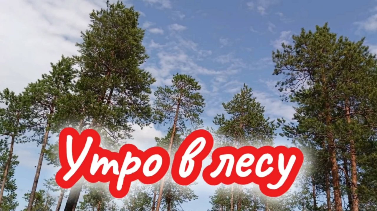 Утро в лесу. Прогулка по "Тропе здоровья"