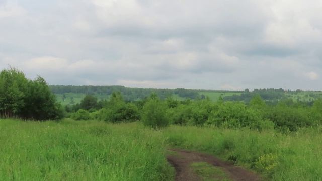 Птичье пение и ворона каркает
