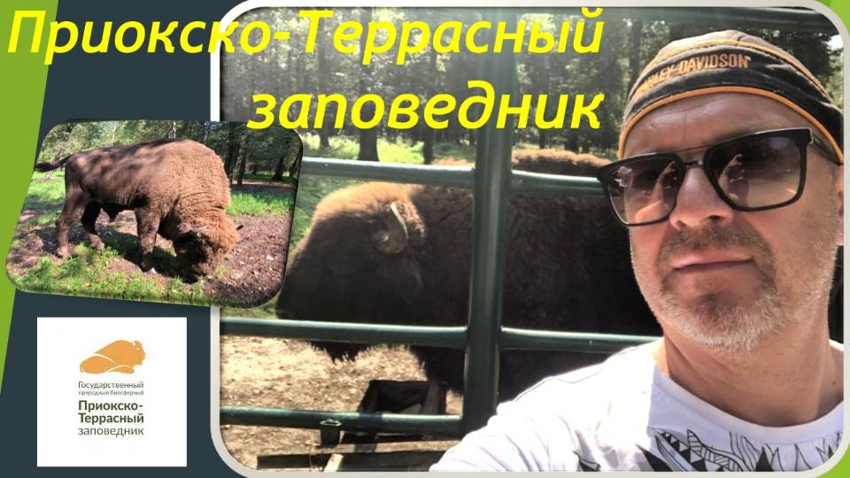 Видеоэкскурсия по Приокско-Террасному заповеднику в Серпуховском районе, Московская область.