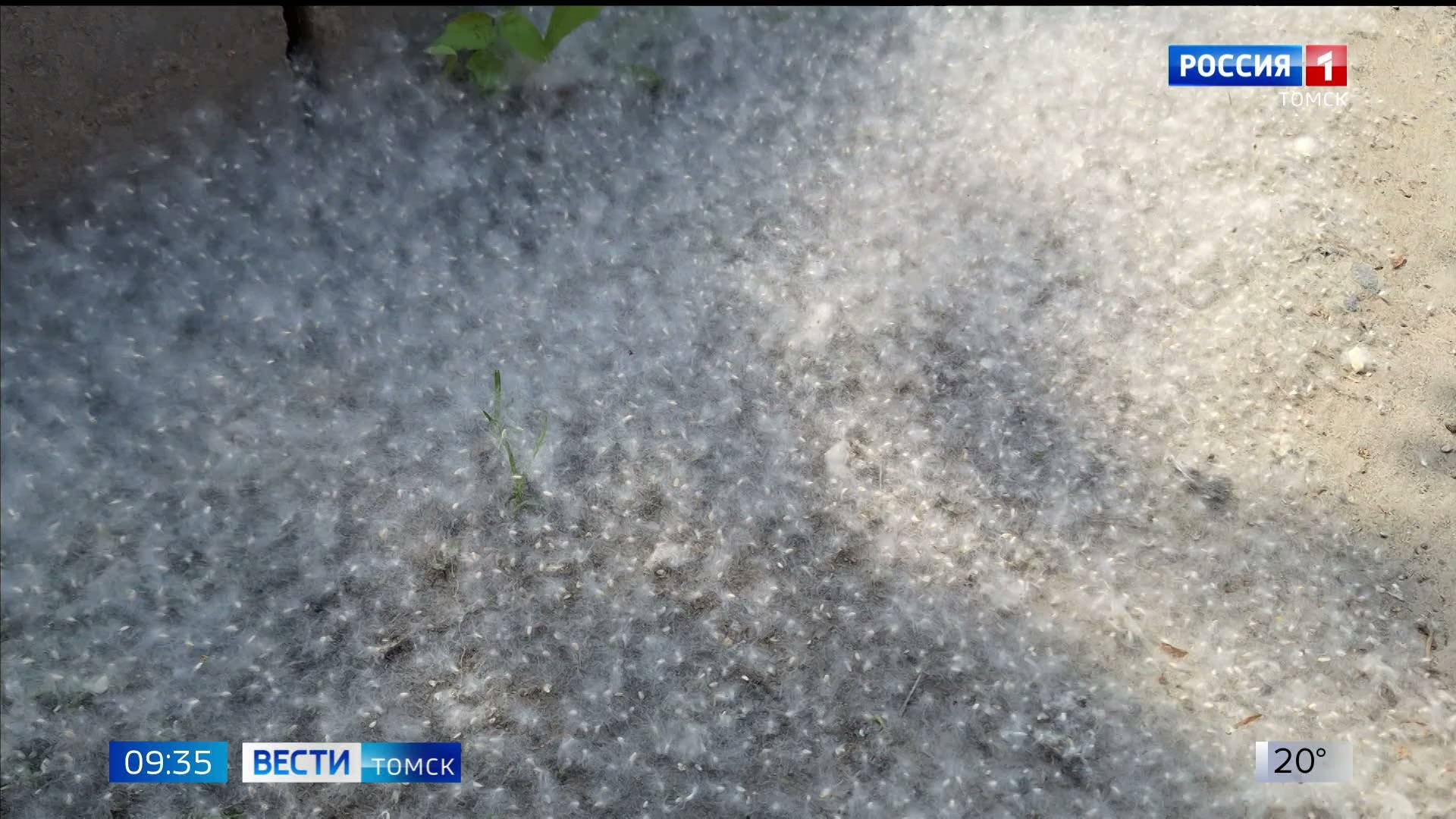 Вести- Томск, выпуск от 16.06.2025 09:30