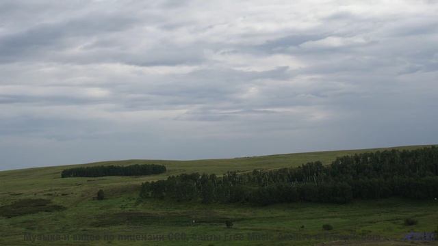 Вы не гуляли по лесу, пока не услышали этот саундтрек! - Indigo Wild -- Blue Sky Moon -- Prophet and