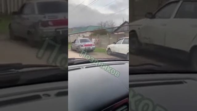 Обезьяны на выгуле
