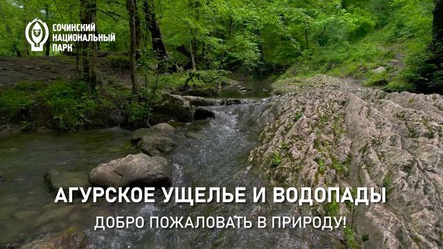 Агура