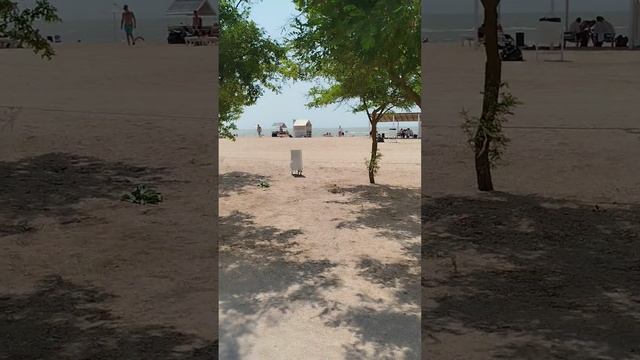 Обзор пляжа Казачий берег 2 Должанская, отдых турбаза Казачий берег Должанка 2025, погода Должанская