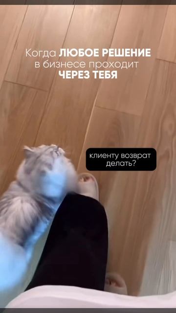 🐾 Пока у ваших сотрудников лапки — вам некогда заниматься ростом.
