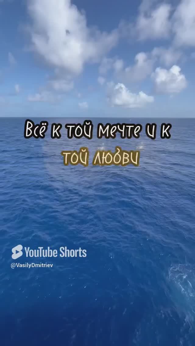 В твоей дали стихи читает автор В Дмитриев #стихиолюбви #любовь #поэт #поэзия #мысли #чувства#shorts