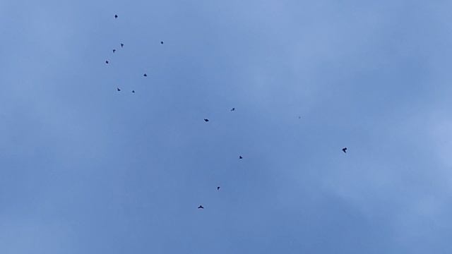 16.06.2025г Всем Хорошего дня!!!