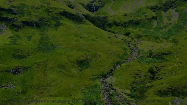 Волны музыки накрывают вместе с облаками и лесами - Bjork -- Podington Bear -- Homage Fromage (Box S