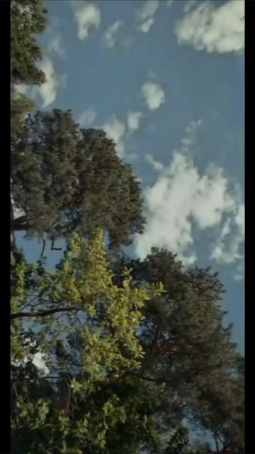 А вы уже смотрели?