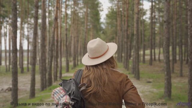 Природа раскрывает тайны, когда играет такой саундтрек - Sunday Funday -- Scott Holmes Music -- Musi