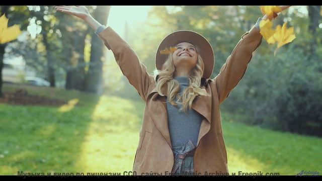 Музыка, перед которой не устоит даже ваш кот! - Who We Are -- Taylor Poe -- 10 Million Babies