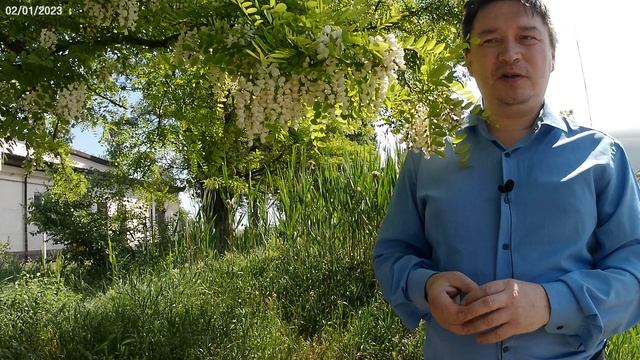 Пойдите к продающим и купите