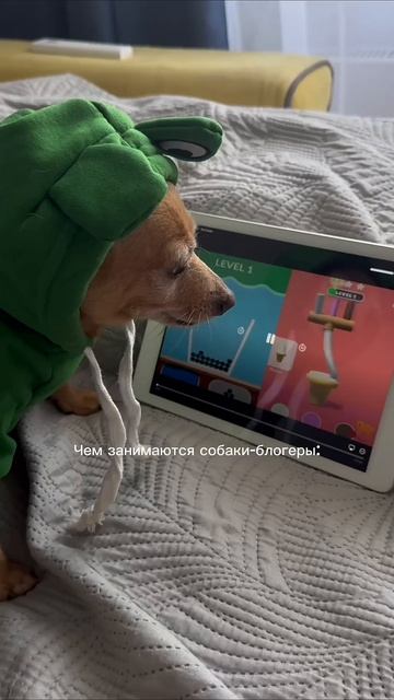Интересное тут