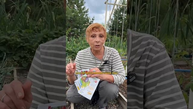 ЧЕМ БОЛЕЕТ ЛУК?!