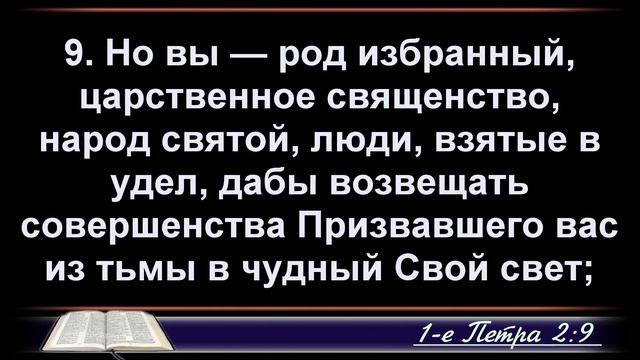 Мандровский Александр 05.06.2025г.