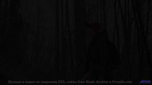 Дикие звери и дикий вайб! - COMO DEBERIA SER (feat. QUINTO DRAGON) -- Compadre Locura -- A CUCHI CUC