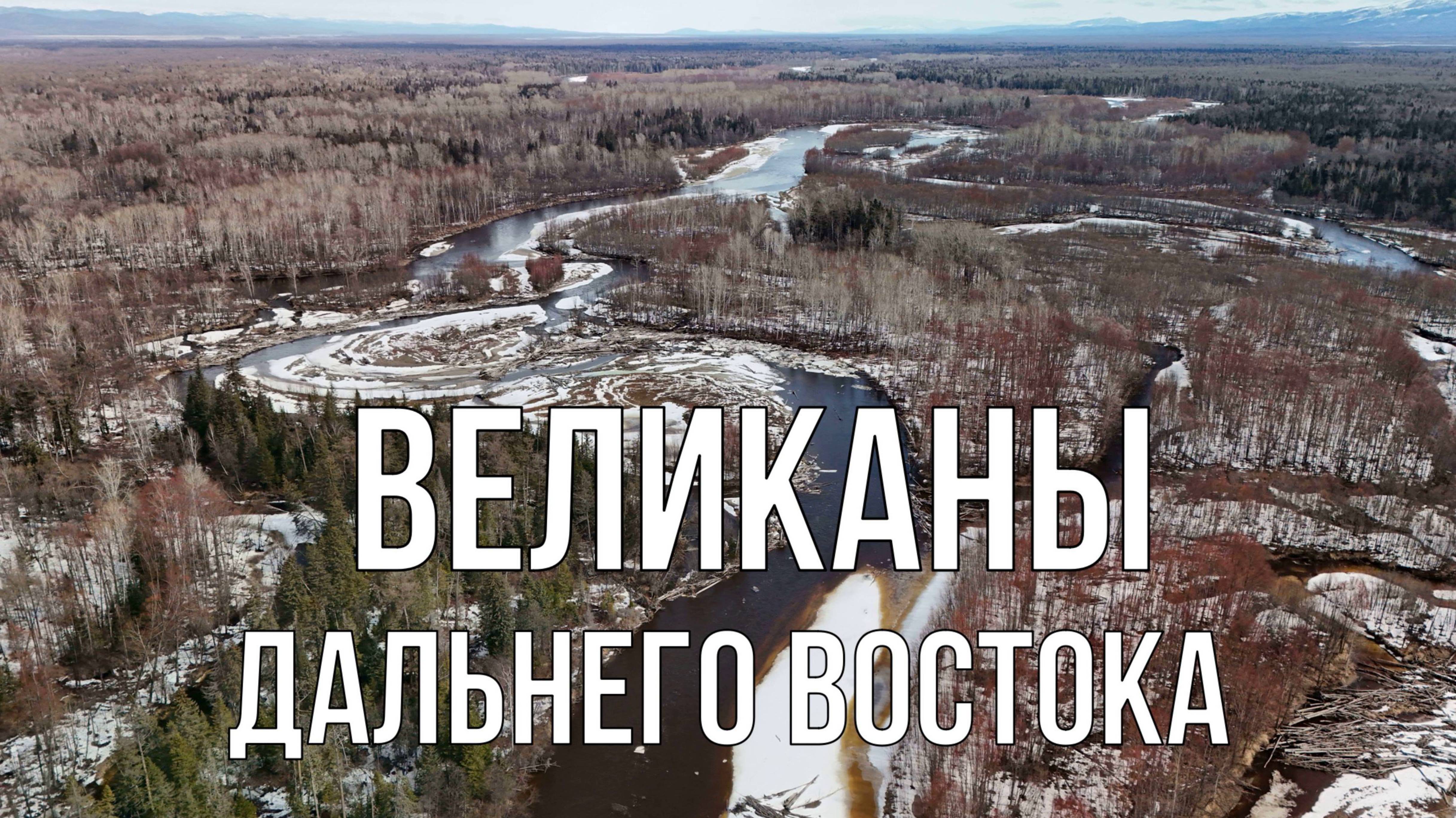 Великаны Дальнего Востока