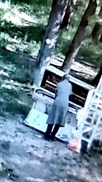 Женщина в Вязниках ломает старое пианино в Ярцевском парке