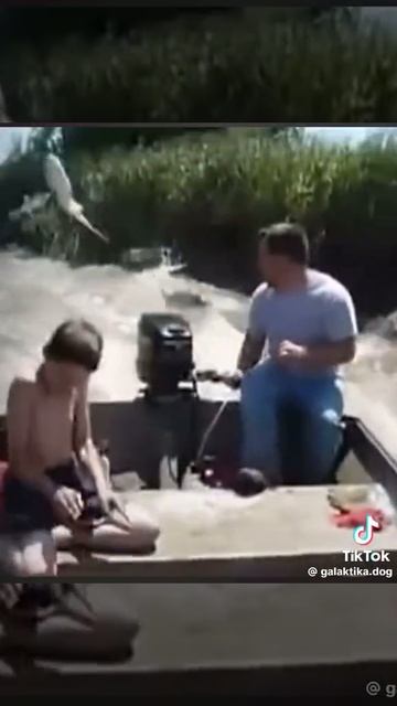 1000006100.mp4