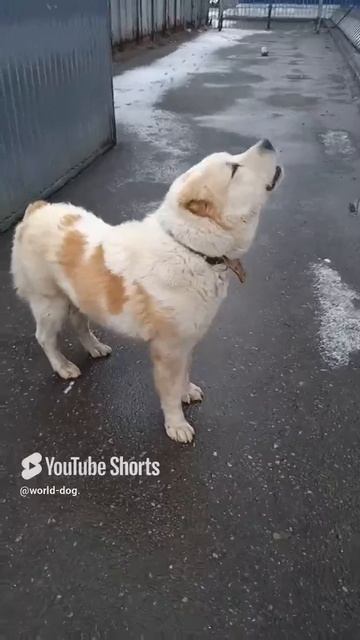 1000003155.mp4