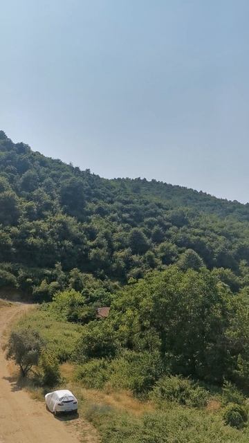 Ждем цветение пионов, роз и отдыхаем на море. 16.06.2025