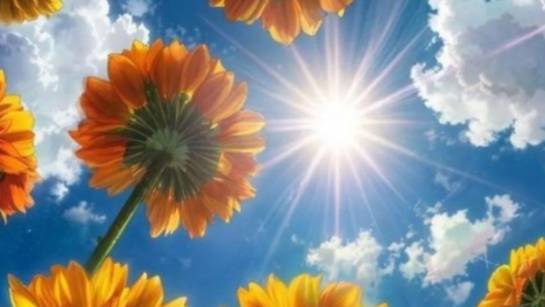 Летнее Солнцестояние 21 июня День Силы 🌞