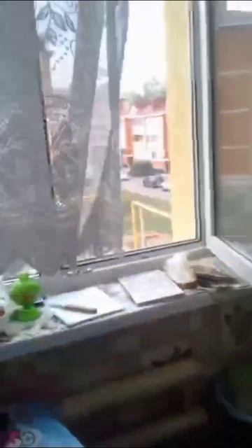13 августа 2021 г.