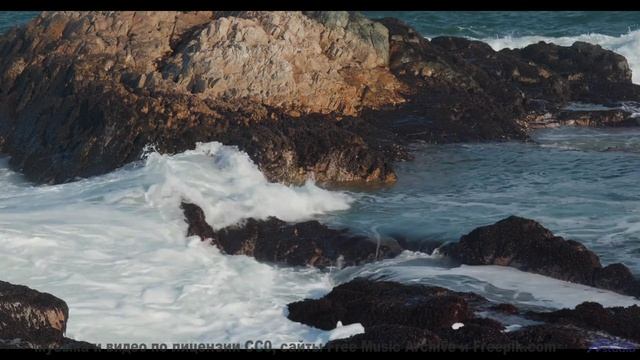 Ощущение, что природа играет на собственных инструментах - Felt So Low, On The HiFi, Anyways -- Snic