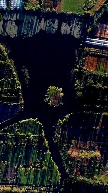 Шокирующие кадры