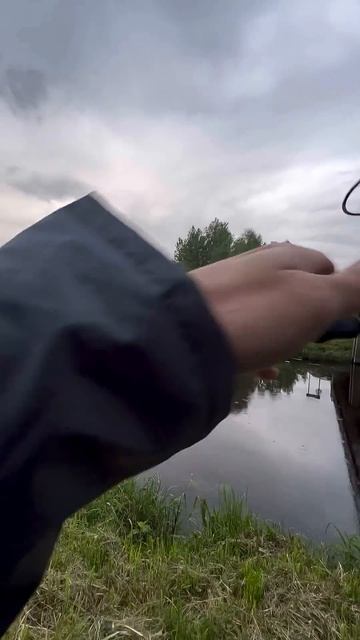 Неправильный голавль на Jackal Chubby 41 SSR #jackall #fishing #japan #new #newvideo