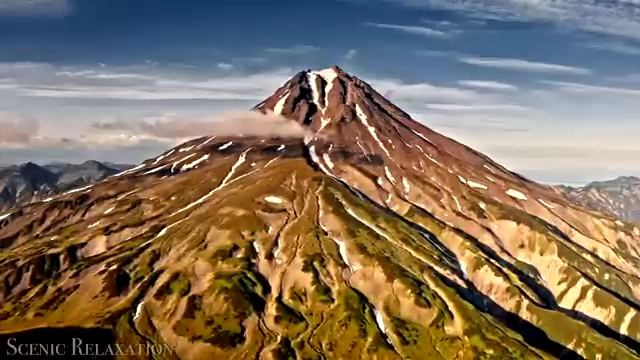 Животные и природа. Успокаивающая музыка