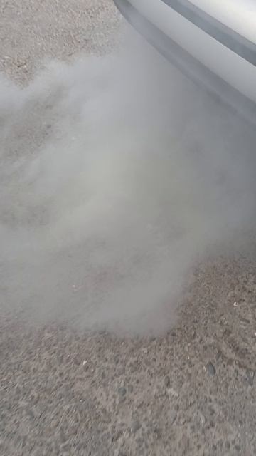 Как дымит Seat Toledo. Жесть на СТО.