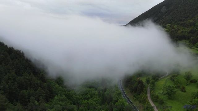 Ты НЕ СМОЖЕШЬ выключить это видео! - Why Me -- Omura -- The Whales Bay