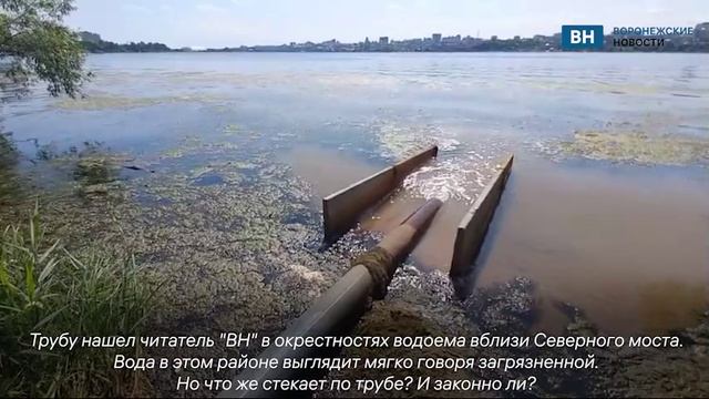 В Воронежское водохранилище сливают неизвестную жидкость