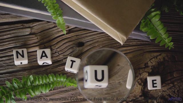 Что скрывается под этой рябью - Stay Awhile -- Ayla Nereo -- Play Me a Time