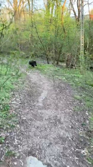 Уроки польского