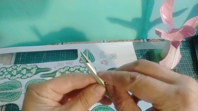 Орхидеи из бумаги своими руками.