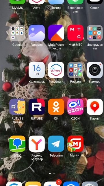1000013083.mp4