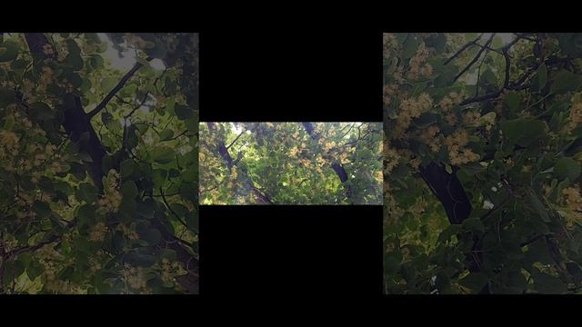 прогуляемся часть вторая
