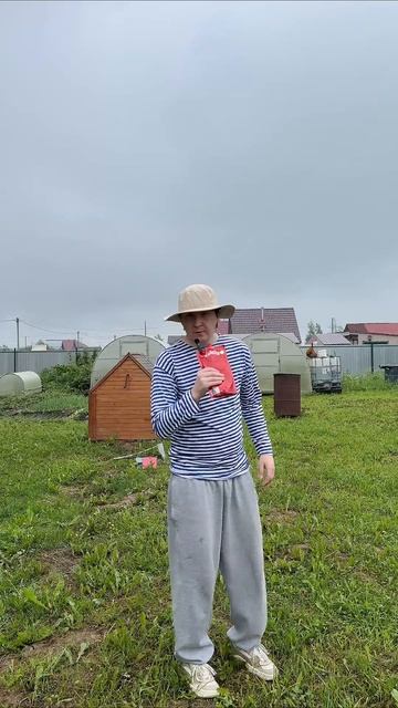 В такой чат я бы зашел надолго 🤩