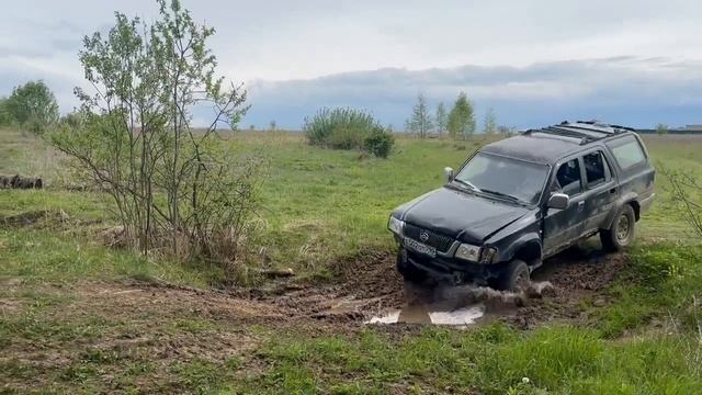 Выгуливаю деда