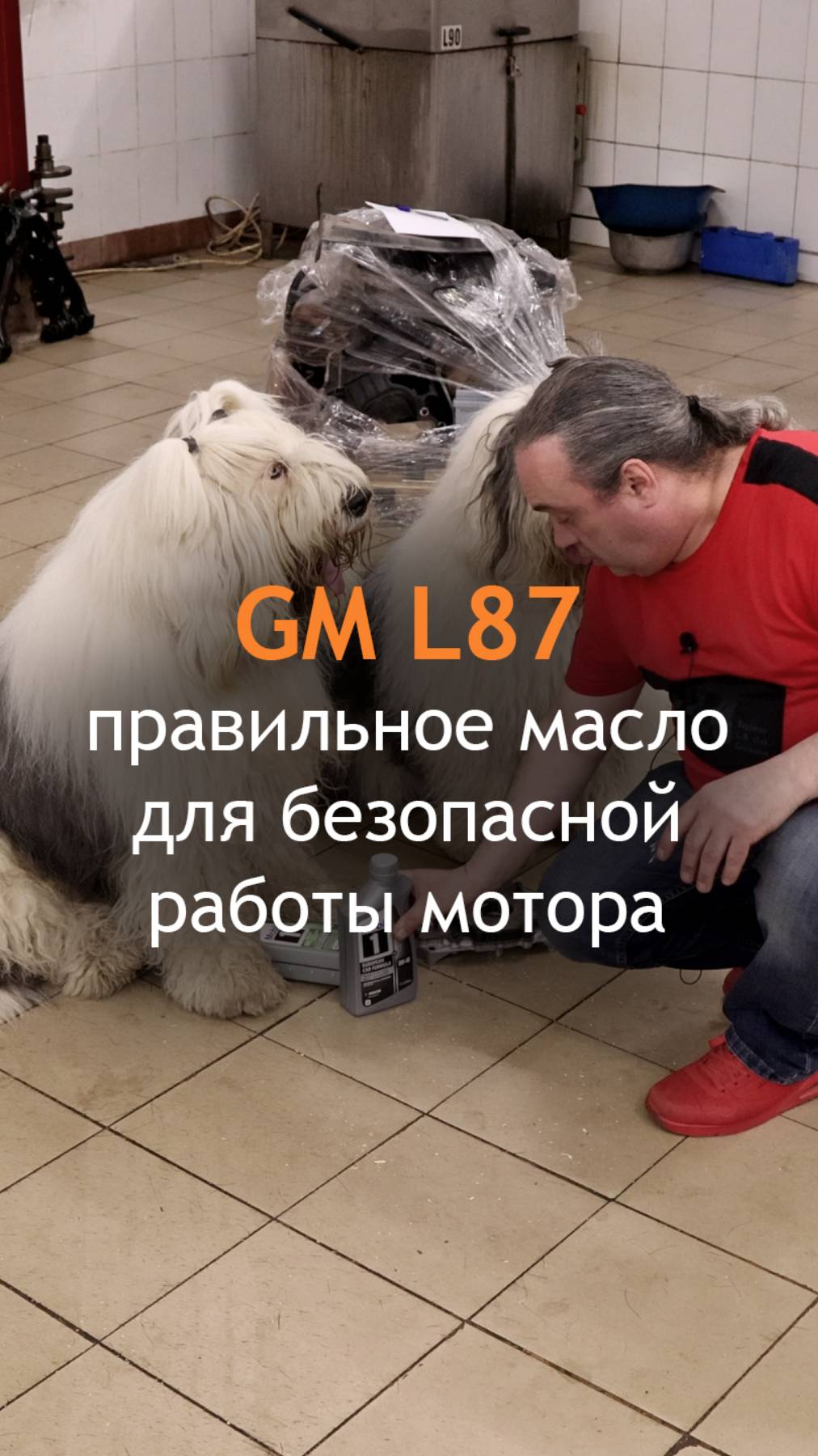 GM L87 - правильное масло для безопасной работы мотора