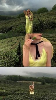 Чайные плантации в Сочи